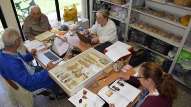 Arkeologët zbulojnë misterin e tempullit të Artemisës