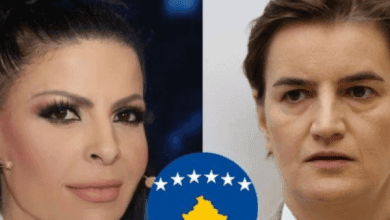 Ofendoi shqiptarët, Aurela Gaçe ia tregon vendin kryeministres serbe! Ofendoi shqiptarët, Aurela Gaçe ia tregon vendin kryeministres serbe!