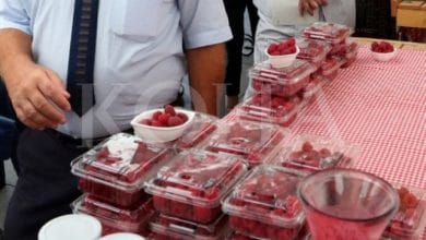 Kosova ia ka marrë tregun Bullgarisë për shitjen e mjedrës në BE Kosova ia ka marrë tregun Bullgarisë për shitjen e mjedrës në BE