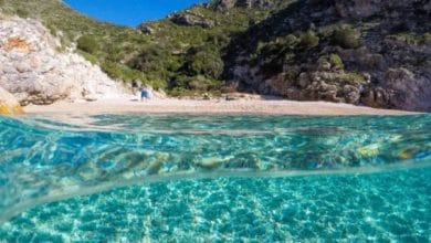 Amerikanët, gjermanët, holandezët… zgjedhin Shqipërinë për t’i kaluar pushimet Amerikanët, gjermanët, holandezët… zgjedhin Shqipërinë për t’i kaluar pushimet