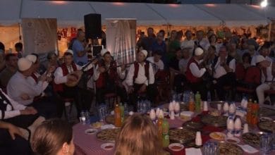 Diaspora, e zhgënjyer nga institucionet Shqiptare Diaspora, e zhgënjyer nga institucionet Shqiptare
