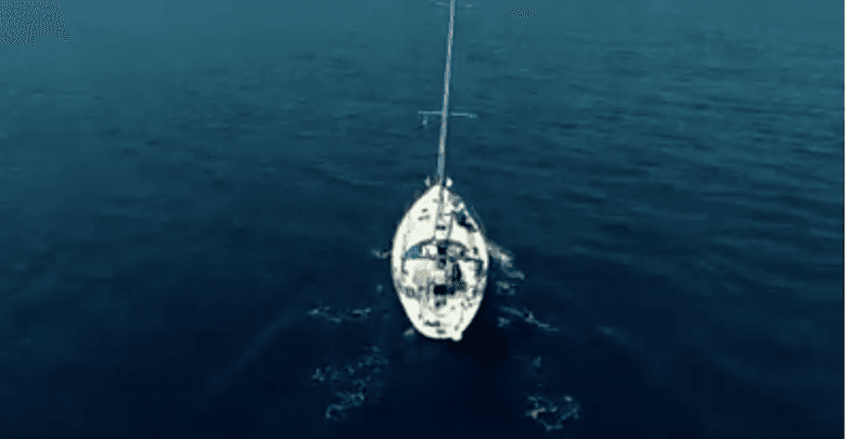 VIDEO: Gjiri i Vlorës destinacion i ri i garave ndërkombëtare të varkave me vela dhe sporteve të tjera ujore