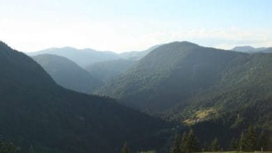 Turisti mahnitet nga bukuritë e Rugovës: Këtu është si në Zvicër (VIDEO) Turisti mahnitet nga bukuritë e Rugovës: Këtu është si në Zvicër (VIDEO)