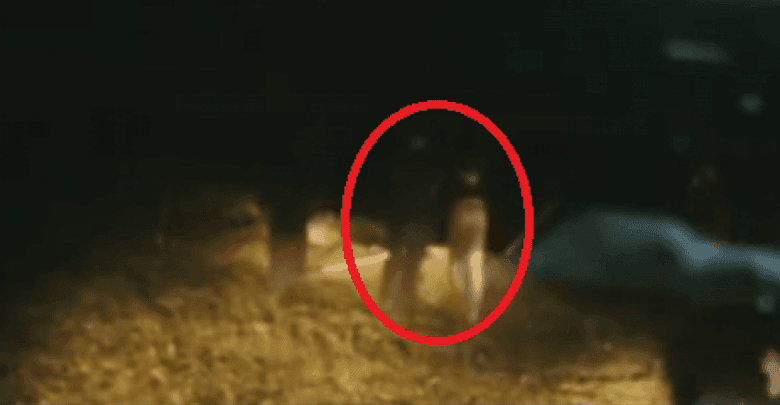 Pamje të rënda/ Paramilitarët serbë i hidhnin shqiptarët e gjallë në një gropë të madhe (VIDEO)