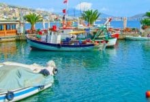 “Investoni, hapni një kompani ose blini një shtëpi në Shqipëri” “Investoni, hapni një kompani ose blini një shtëpi në Shqipëri”