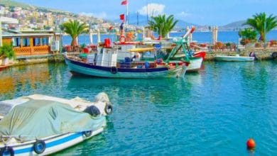 “Investoni, hapni një kompani ose blini një shtëpi në Shqipëri”