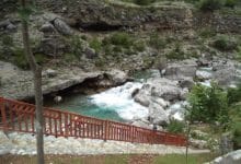 REPORTAZHI: Tamara, një stacion i ri turistik në këmbët e Alpeve Shqiptare REPORTAZHI: Tamara, një stacion i ri turistik në këmbët e Alpeve Shqiptare