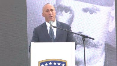 Haradinaj: Nuk ka logjikë të lejohet lëvizja e kufijve Haradinaj: Nuk ka logjikë të lejohet lëvizja e kufijve