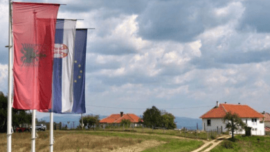 Salihu: Serbia dëshiron Medvegjën pa shqiptarë!