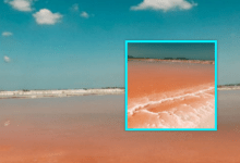 Ky liqen i bukur ngjyrë rozë ndodhet në Shqipëri Ky liqen i bukur ngjyrë rozë ndodhet në Shqipëri