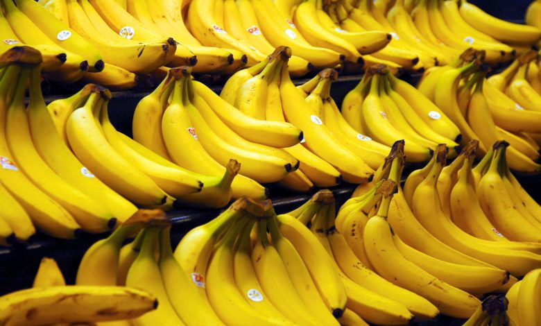 Importet e bananeve u dyfishuan në dekadën e fundit, kryesojnë Ekuadori dhe Kolumbia Importet e bananeve u dyfishuan në dekadën e fundit, kryesojnë Ekuadori dhe Kolumbia