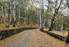 Vjeshta ‘troket’ në Dardhë….(FOTO) Vjeshta ‘troket’ në Dardhë….(FOTO)