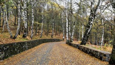 Vjeshta ‘troket’ në Dardhë….(FOTO)