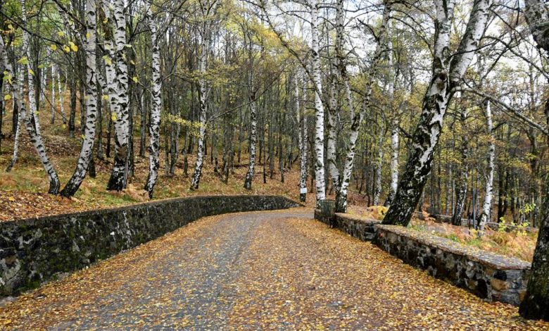 Vjeshta ‘troket’ në Dardhë….(FOTO) Vjeshta ‘troket’ në Dardhë….(FOTO)