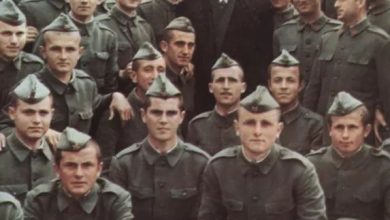 Viktor Çami: Kosova dhe qëndrimi i shtetit shqiptar me 1981 Viktor Çami: Kosova dhe qëndrimi i shtetit shqiptar me 1981