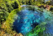Përfundon investimi, ‘Syri i Kaltër’ bëhet me pedonale! Turistët e huaj: Transformim mahnitës i parkut Përfundon investimi, ‘Syri i Kaltër’ bëhet me pedonale! Turistët e huaj: Transformim mahnitës i parkut
