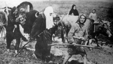1878, Shkrimtari serb: “Në Luginën e Nishit u vranë e u masakruan mbi 300 mijë shqiptarë, djegje, dëbime masive dhe…”