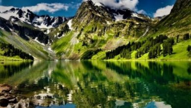 Bukuritë magjike që dhurojnë Bjeshkët e Rugovës (FOTO) Bukuritë magjike që dhurojnë Bjeshkët e Rugovës (FOTO)