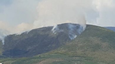 Zjarr të qëllimshëm në Berat, digjen dhjetëra hektarë pyje, priten forcat e ushtrisë