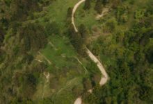 Parku Kombëtar Bredhi i Drenovës, destinacion i vizitueshëm për turizmin familjar dhe sportet e aventurës Parku Kombëtar Bredhi i Drenovës, destinacion i vizitueshëm për turizmin familjar dhe sportet e aventurës