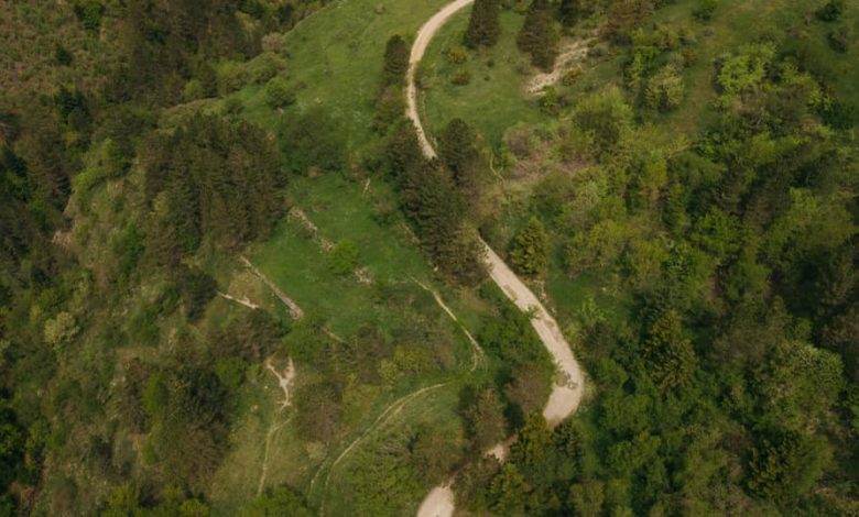 Parku Kombëtar Bredhi i Drenovës, destinacion i vizitueshëm për turizmin familjar dhe sportet e aventurës Parku Kombëtar Bredhi i Drenovës, destinacion i vizitueshëm për turizmin familjar dhe sportet e aventurës