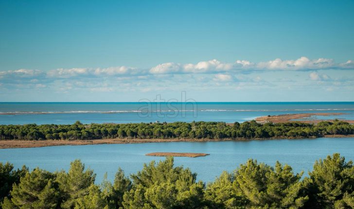 Shndërrimi i Parkut Kombëtar Divjakë-Karavasta, në një destinacion të veçantë turistik në Ballkan Shndërrimi i Parkut Kombëtar Divjakë-Karavasta, në një destinacion të veçantë turistik në Ballkan