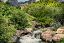 “Shqipëria e bukur”/ Radomira, destinacioni i duhur për të apasionuarit pas alpinizmit “Shqipëria e bukur”/ Radomira, destinacioni i duhur për të apasionuarit pas alpinizmit