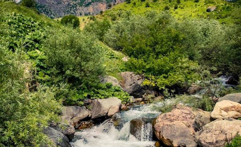 “Shqipëria e bukur”/ Radomira, destinacioni i duhur për të apasionuarit pas alpinizmit “Shqipëria e bukur”/ Radomira, destinacioni i duhur për të apasionuarit pas alpinizmit