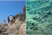 Turisti çek zbulon predha në plazhet e Sarandës 20 metra pranë bregut (VIDEO) Turisti çek zbulon predha në plazhet e Sarandës 20 metra pranë bregut (VIDEO)