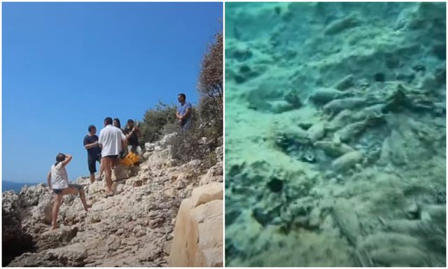 Turisti çek zbulon predha në plazhet e Sarandës 20 metra pranë bregut (VIDEO) Turisti çek zbulon predha në plazhet e Sarandës 20 metra pranë bregut (VIDEO)