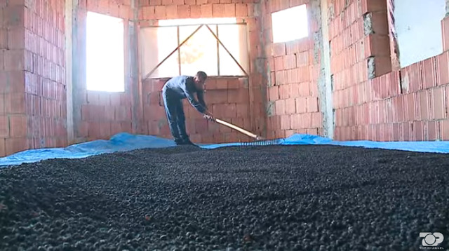 VIDEO/ Ish-ushtari i UÇK hap fermë në Dibër, i vetmi në Shqipëri që kultivon frutin e rrallë VIDEO/ Ish-ushtari i UÇK hap fermë në Dibër, i vetmi në Shqipëri që kultivon frutin e rrallë