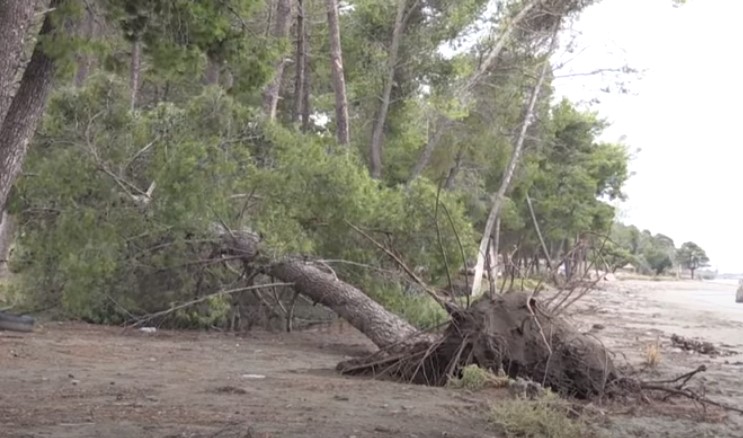 Pishat përfundojnë në det/ Erozioni kërcënon brigjet e plazhit të vjetër në Vlorë