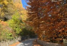 Në Dardhën turistike, ku rruga e re ka shtuar fluksin e vizitorëve Në Dardhën turistike, ku rruga e re ka shtuar fluksin e vizitorëve