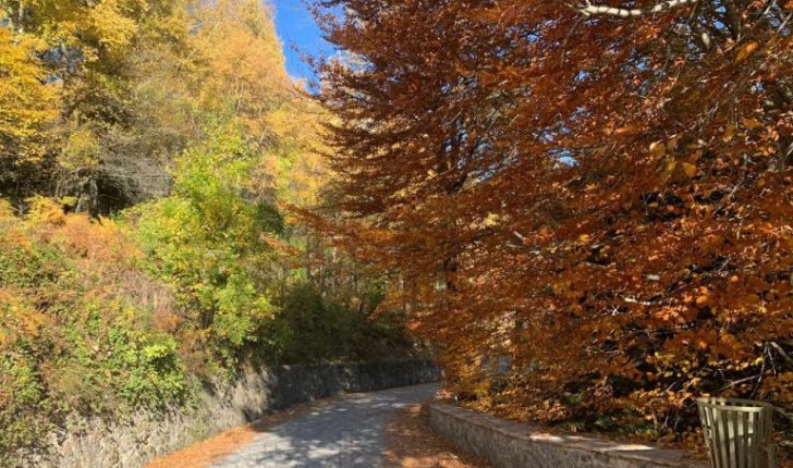 Në Dardhën turistike, ku rruga e re ka shtuar fluksin e vizitorëve Në Dardhën turistike, ku rruga e re ka shtuar fluksin e vizitorëve