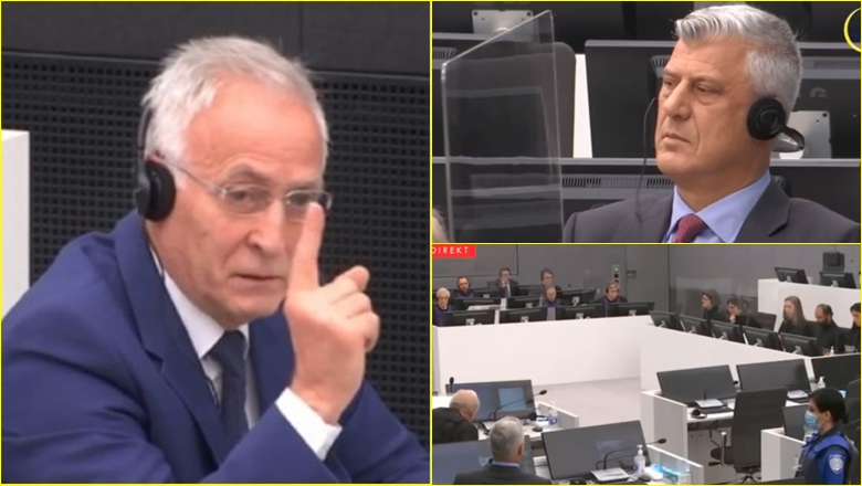Pa Beogradin, Haga mbetet e papunë Pa Beogradin, Haga mbetet e papunë