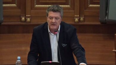 ‘Sikur me pas qenë çika e Berishës’/ Milaim Zeka: Vjosa dhe Albini përballë Ramës janë si krimbi para shqiponjës