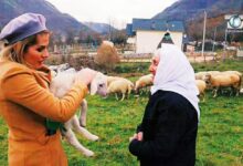 Në thellësitë e Librazhdit ndodh mrekullia, fshati me emrin “Fushë Studën” befasia që s’e njohim Në thellësitë e Librazhdit ndodh mrekullia, fshati me emrin “Fushë Studën” befasia që s’e njohim