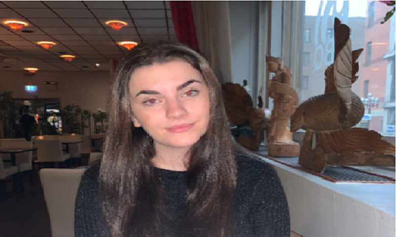 Studentja nga Suedia i shkruan letër gazetarit që ofendoj mërgimtarët Studentja nga Suedia i shkruan letër gazetarit që ofendoj mërgimtarët