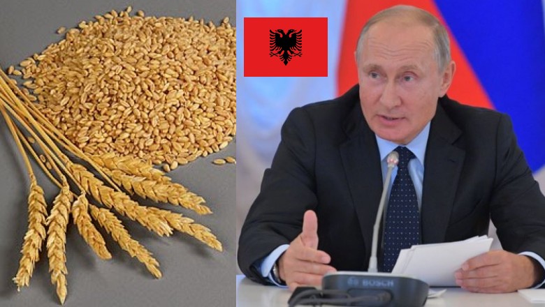 Lufta ul me 60% volumin e importeve nga Rusia në Shqipëri