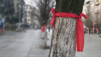 Çfarë domethënie ka shamia e kuqe sipas Vetëvendosjes Çfarë domethënie ka shamia e kuqe sipas Vetëvendosjes