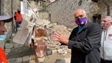 VIDEO/ ‘Hajde një çik këtu merre atë me vete’, Rama krahason gomerët në Berat: Kë do zgjidhni ju? E shikoni nga ngjyra