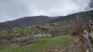 Lufta s’ka të sosur për të mbijetuarit e minave në kufirin Shqipëri-Kosovë Lufta s’ka të sosur për të mbijetuarit e minave në kufirin Shqipëri-Kosovë