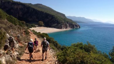 Turistët e huaj zgjedhin plazhin e virgjër të Porto Nova në Vlorë: Natyra është shumë e bukur, nuk e gjejmë në vendin… Turistët e huaj zgjedhin plazhin e virgjër të Porto Nova në Vlorë: Natyra është shumë e bukur, nuk e gjejmë në vendin…