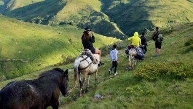 Financial Times reportazh për Shqipërinë: Mund të rrënohet nga emigracioni, por e bekuar me bukuri të bollshme natyrore Financial Times reportazh për Shqipërinë: Mund të rrënohet nga emigracioni, por e bekuar me bukuri të bollshme natyrore