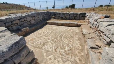 VIDEO/ Thesaret e fshehta të Bylisit: Historiani Neritan Ceka tregon monumentet dhe mozaikët e rrallë VIDEO/ Thesaret e fshehta të Bylisit: Historiani Neritan Ceka tregon monumentet dhe mozaikët e rrallë