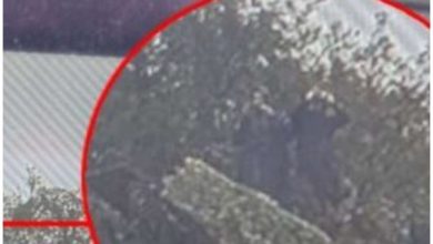 Situata në veri e tensionuar/ Policia e Serbisë dhe ajo e Kosovës mbajnë njëra-tjetrën në vëzhgim me dylbi