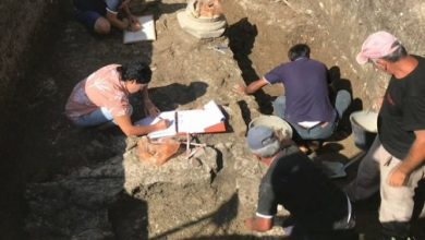 U ndërtua nga mbreti Pirro, arkeologët nisin kërkimet për teatrin antik në Antigonenë e lashtë U ndërtua nga mbreti Pirro, arkeologët nisin kërkimet për teatrin antik në Antigonenë e lashtë