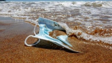 Turizmi në Shqipëri gjatë 2021 nuk u rikuperua, por mbijetoi Turizmi në Shqipëri gjatë 2021 nuk u rikuperua, por mbijetoi