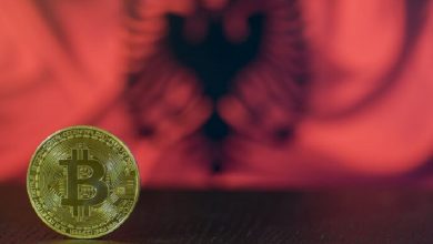 Donlad Trump po “pasuron” të rinjtë në Shqipëri Donlad Trump po “pasuron” të rinjtë në Shqipëri