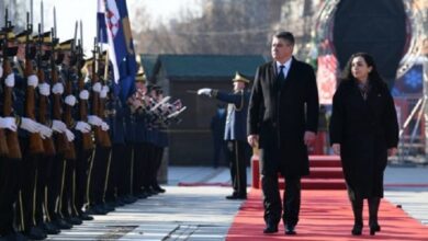 Në Serbi bëhen nervoz me presidentin kroat: Lobisti i ri i Kosovës tashmë ka lindur Në Serbi bëhen nervoz me presidentin kroat: Lobisti i ri i Kosovës tashmë ka lindur